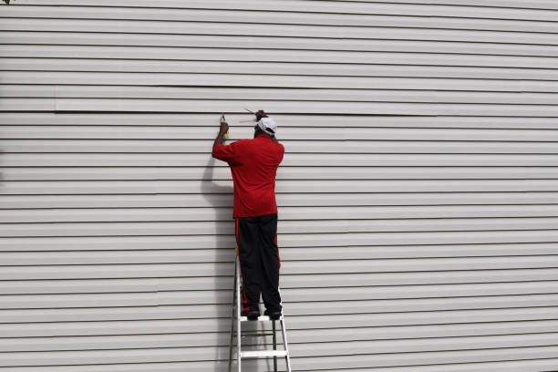 Best Insulated Siding Installation  in Fairhope, AL